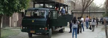 Stay + Safari: Canter Safari